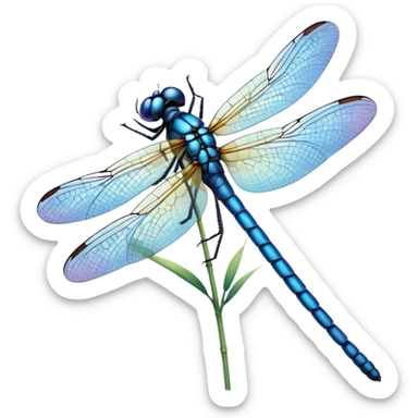 blue dragonfly sticker