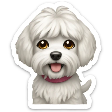 Maltipu dog sticker
