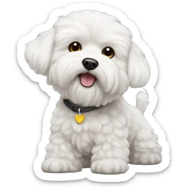 Perro bichon maltés  sticker
