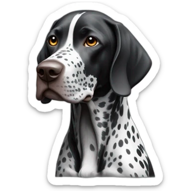 black german shorthair pointer, full black head, without white on the head, with white hair on the snout, black and white spotted body sticker