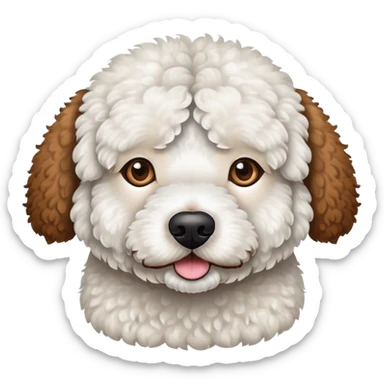 White Spanish water dog with one eye with brown spot circle and one ear also brown  sticker