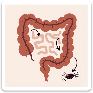 educational illustration of human intestine with arrows indicating parasite life cycle (ingestion, development, egg deposition), illustrative style, 4K sticker