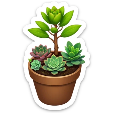 Close-up of a potted sapling in rich soil surrounded by vibrant plants and succulents. Bright sunlight filters through the window, casting soft shadows. Nearby gardening tools rest on a wooden table. Cozy indoor atmosphere with greenery and flowers. sticker