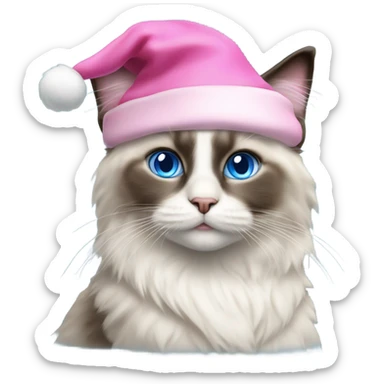 Realistic ragdoll cat with blue eyes wearing pink Santa hat sticker