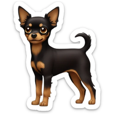 Russian-toy-terrier-full-dark-brown-hairy sticker