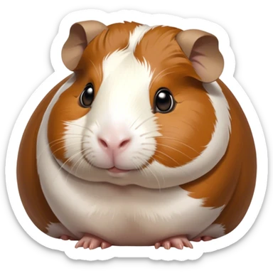 Cinematic Noble Brown and White Banded Guinea Pig Portrait Emoji, Poised and regal, with a compact, chubby build and a uniquely patterned coat of warm brown and crisp white banding, deep-set soulful dark eyes, Simplified yet sharp and sophisticated features, highly detailed, glowing with a soft, dignified glow, high shine, intelligent and charming, stylized with an air of distinctive elegance, focused and attentive, soft glowing outline, capturing the essence of a watchful and confident companion, so majestic it feels as though it could scurry out of the screen with effortless authority! sticker