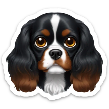 black Cavalier King Charles spaniel. No white or brown spots sticker