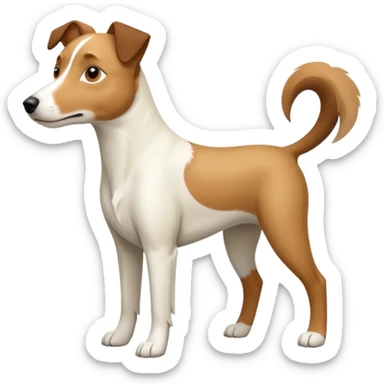a full body large white parson russell looking dog the size of a kelpie with light brown flapped down ears and a light brown patch on one eye and a large snout sticker