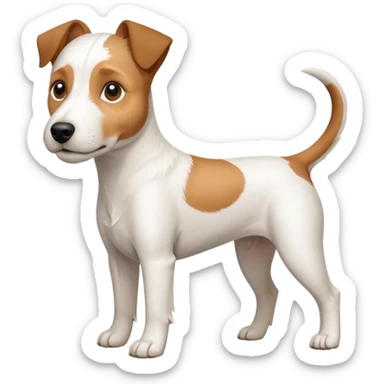 a full body white parson russell looking dog the size of a kelpie with light brown ears and a light brown patch on one eye and a large snout sticker