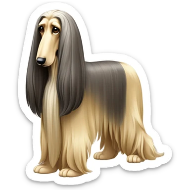 Afghan hound sticker