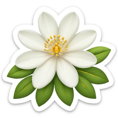  Jasmine flower with white petals and a yellow center of golden stamens. sticker