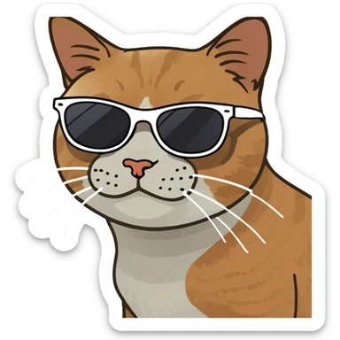 Cat with sunglasses sticker