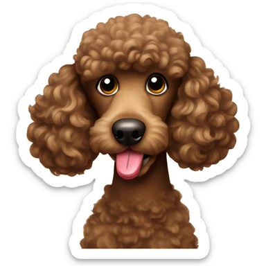 BROWN POODLE WITH PENCIL sticker