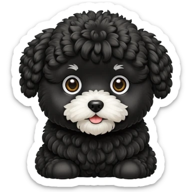 Black Maltipoo  sticker