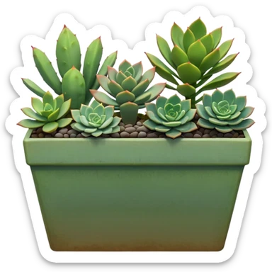 succulents overflowing from a long green planter sticker