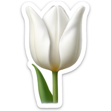 White tulip flower sticker