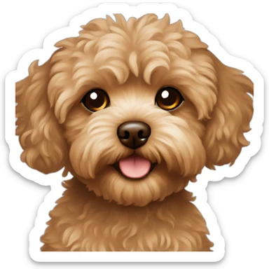brown maltipoo sticker