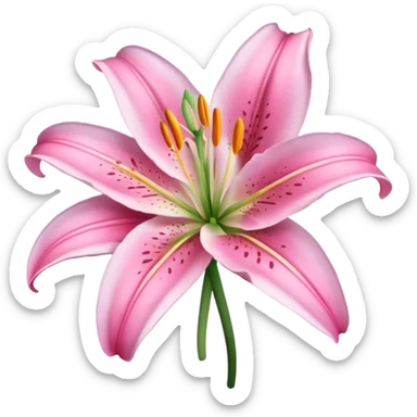 Generate pink lily sticker