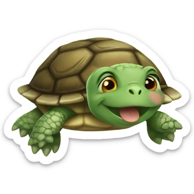 Happy face turtle sticker