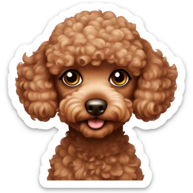 Medium brown Toy Poodle sticker