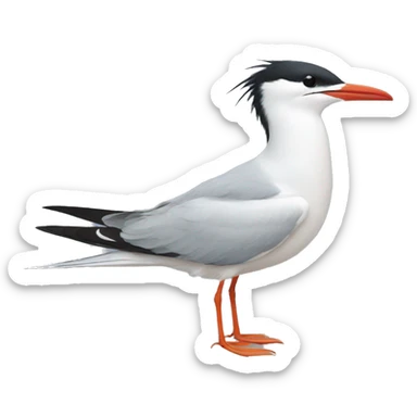 Tern sticker