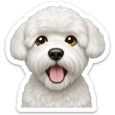 Bichon maltes sticker