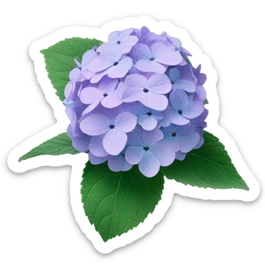 Hydrangea Celeste flower sticker