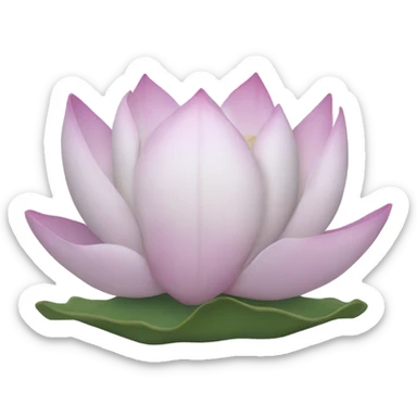 Lotus bisscof sticker