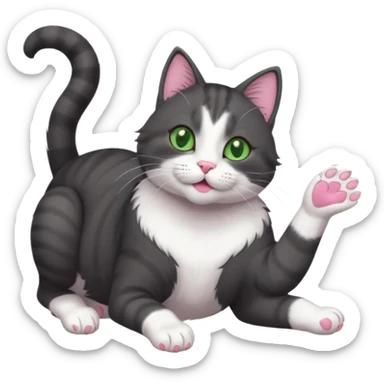 beautiful female solid dark grey cat with green eyes, white toes/paws and white patch on her chest playfully rolling upside down sticker