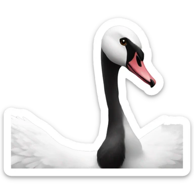 Black and white swan sticker