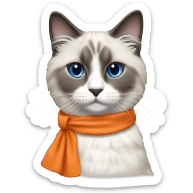 Blue point Ragdoll cat wearing an orange apron  sticker