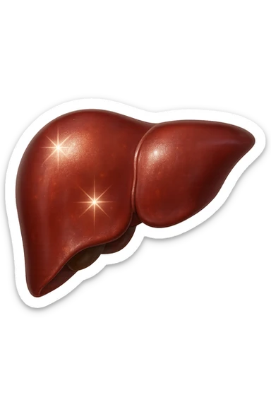 fegato realistico con scintille di brillantezza 3d sticker