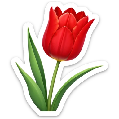 a beautiful flower of tulip sticker