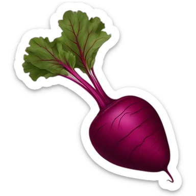 beetroot without leaves sticker