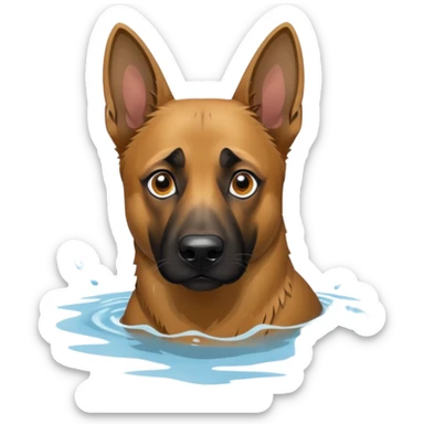Belgium Malinois in the Water  sticker