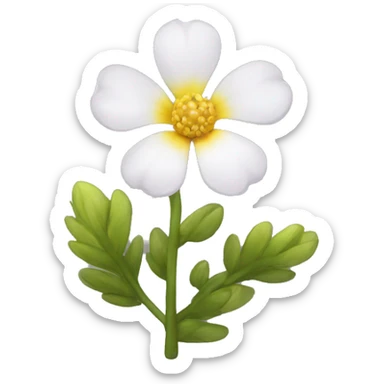 Ursinia flower sticker