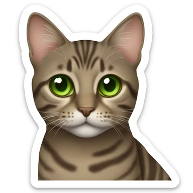Brown/ Grey tabby cat with green eyes sticker