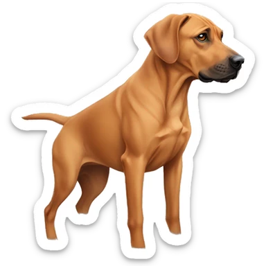 rhodesian ridgeback lab mix who is a little dumb  sticker