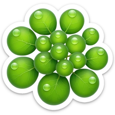 A cute emoji-style sea grape (Caulerpa lentillifera), 
made of tiny translucent green bubbles clustered together, 
glossy jelly-like texture, fresh ocean feel, 
simple and clean emoji design, minimal shading, 
rounded shapes, bright green color, isolated on transparent background sticker