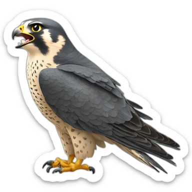 peregrine falcon roar sticker