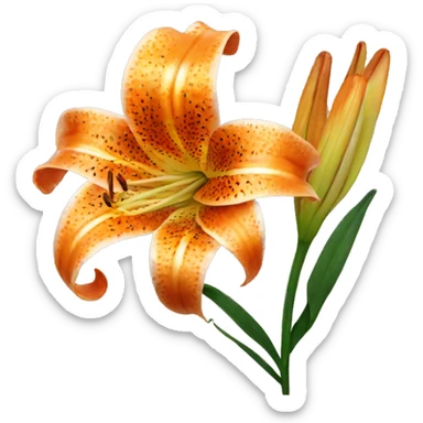 orange tiger lily flower sticker