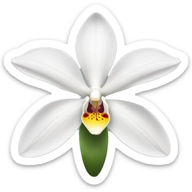 a white orchid  sticker