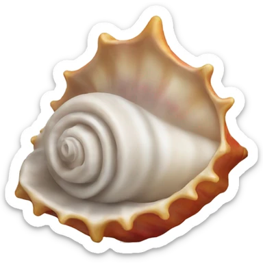 conch shell sticker