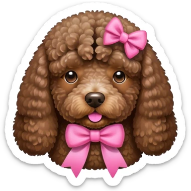 Brown Spanish water dog sitting with a pink bow sticker