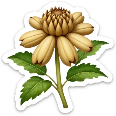 Jerusalem Artichoke  sticker