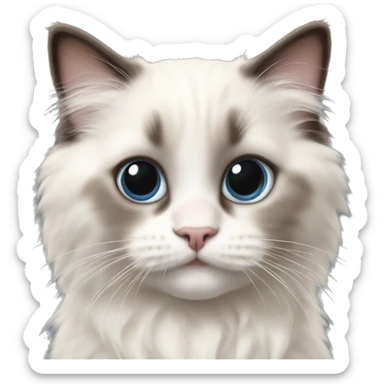 Ragdoll kitten sticker