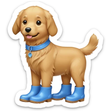 golden retriever with blue rainboots sticker