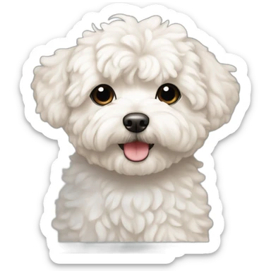 maltipoo with cream shade on top and white on chest and with a white streak on center of the head at top sticker