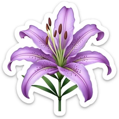 single Lavender Oriental Lily, straight stem sticker