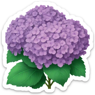 Hydrangea bush sticker